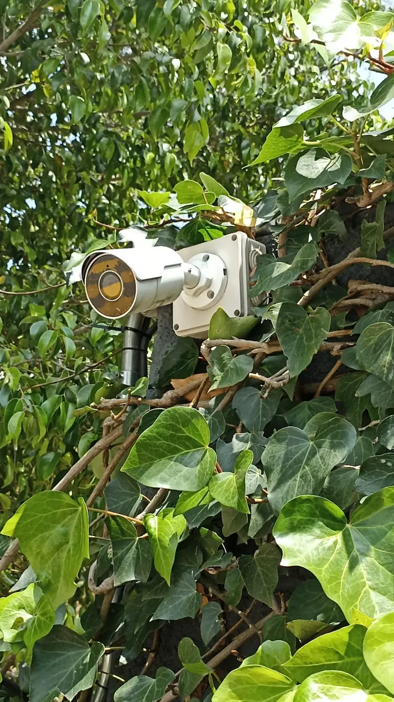 Cámara de seguridad exterior instalada con caja de conexiones cerrada
